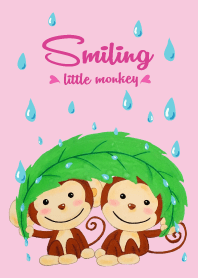 Tersenyum monyet kecil-3