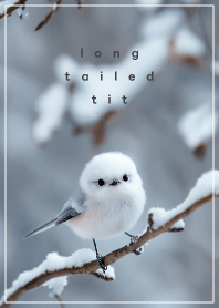 雪降る冬のシマエナガ