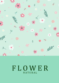 FLOWER MINT GREEN NATURAL 10