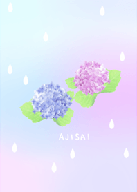 Refreshing hydrangea4.