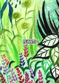 PLANT 015