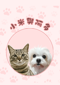 小米與阿多