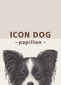 ICON DOG - Papillon - BROWN/05