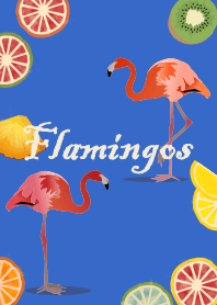 [R] Flamingo + Blue |os