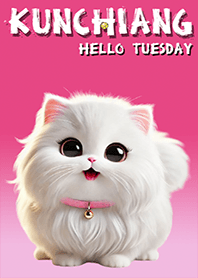 Kun Chiang: Hello Tuesday