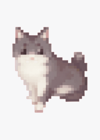 * Black Cat Pixel Art Theme  Green 02