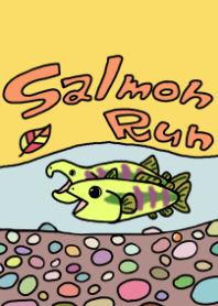 Chum Salmon run!