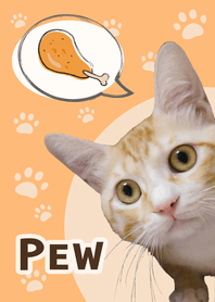 Ginger cat-PEW PEW