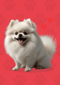 귀여운 포메라니안 테마 Red 03