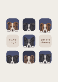 DOGS - Border Collie - NAVY