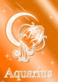 ราศีกุมภ์ -ส้ม-