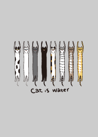 Cat is water