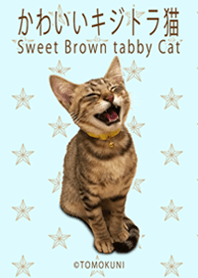 Sweet Brown tabby Cat - Revised