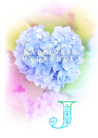 Happiness Hydrangea_J