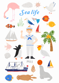 Theme of Sea life