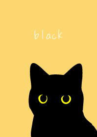 Staring Black Cat on light yellow