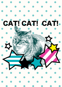 CAT! CAT! CAT!