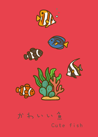 我養的海水魚(亮紅色)