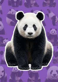熊猫 写实 深紫色