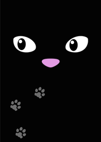 @ BLACK CAT