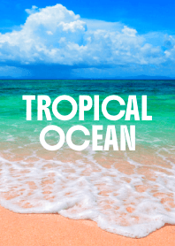 TROPICAL OCEAN THEME 33