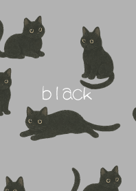 Round Black Cat on white