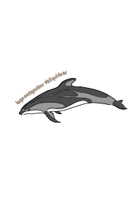 Swimming dolphin/simple/blue