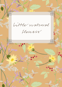 Little natural flowers 14