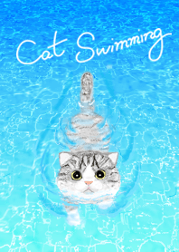 Cat Swimming : 2