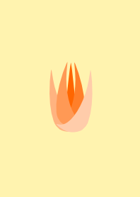 image of tulip