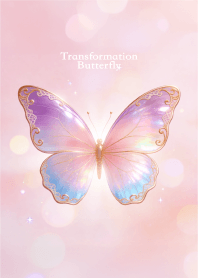 Transformation Butterfly 2