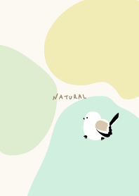 Long-tailed tit walking 3colors30 Japan