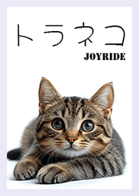 Tiger Cat ver1.1