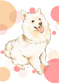 Samoyed by Ystudio