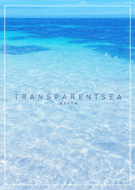 TRANSPARENT SEA 17