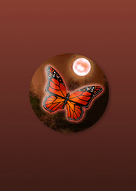 Butterfly dancing in the evening Orange