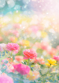 Beautiful rose flower(R3743)