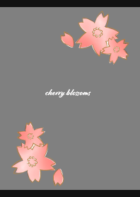 Pretty Cherry Blossoms on black