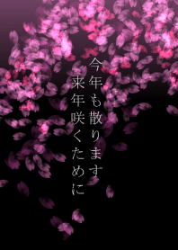 Cherry blossoms falling for the future