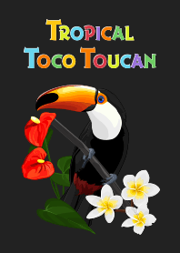 トロピカル　オニオオハシ