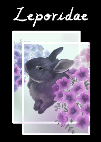 rabbit with petunia flowers