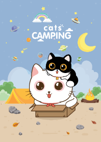 Cats Camping Time