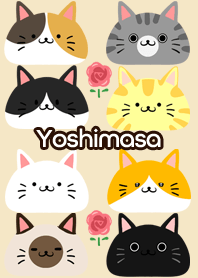 Yoshimasa Scandinavian cute cat3