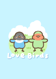 Honey Love birds