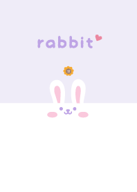 兔子. 向日葵 [紫色]