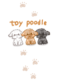 toy poodle theme.