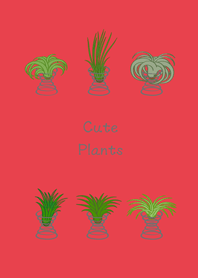 I raise air pineapples(bright red)