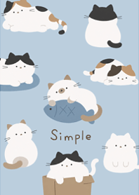 A laid-back and cute cat12.