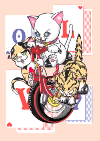 與貓一起的生活
