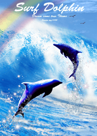 衝浪海豚 Surf Dolphin